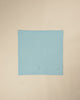 Plain light blue napkin